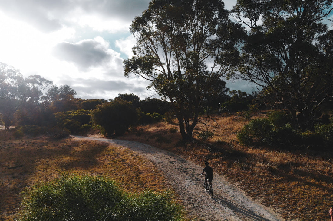 Misty Western Australian bushland gravel track in winter light, ideal conditions for outback bikepacking