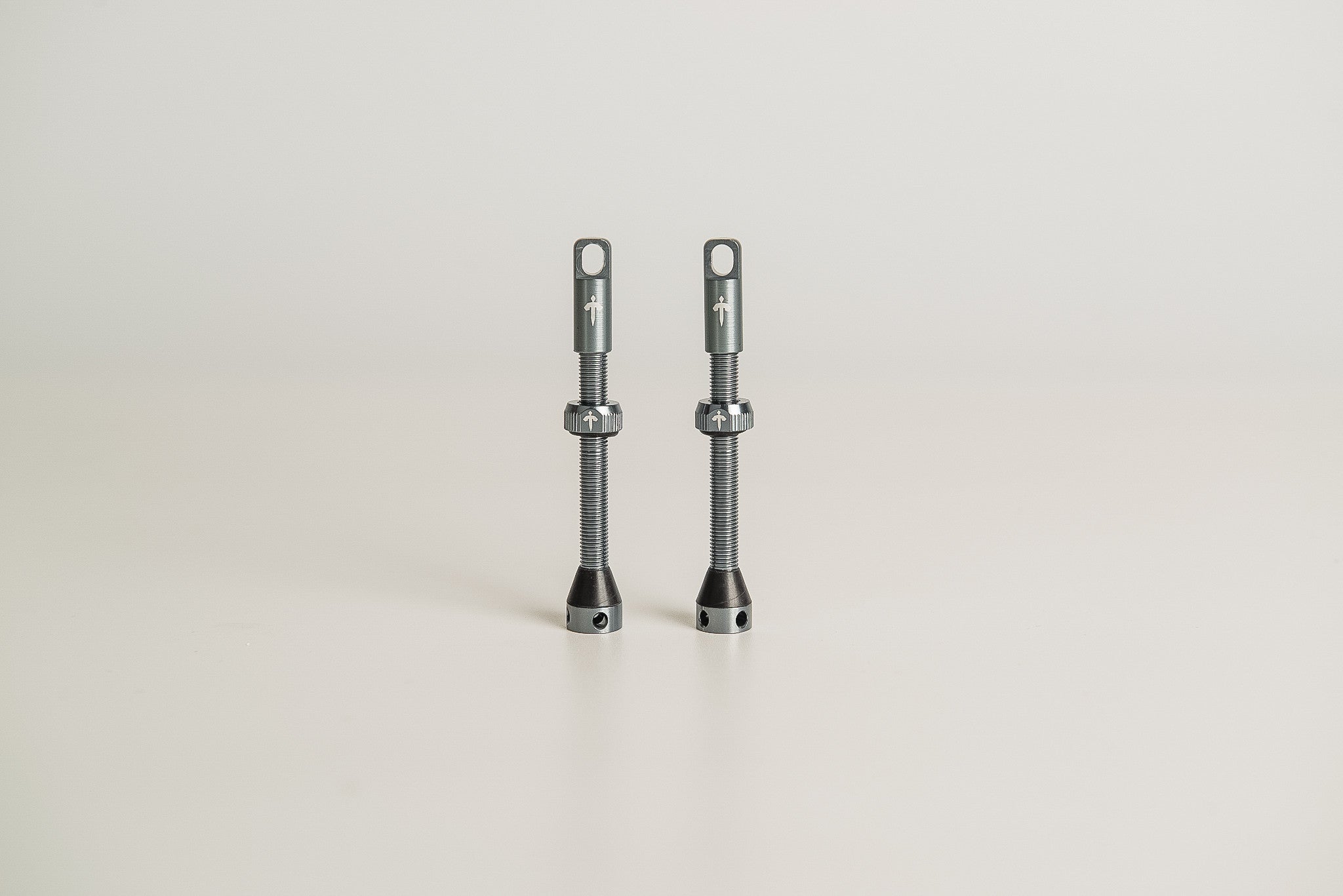 Tizona Component Tubeless Valve